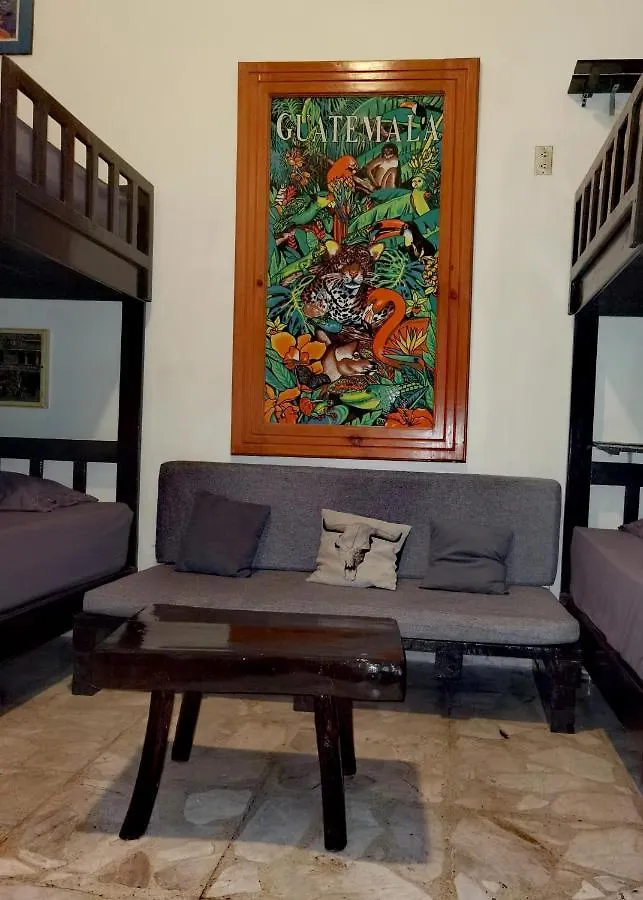 Guest house The Roof Backpackers Hotel Guadalajara