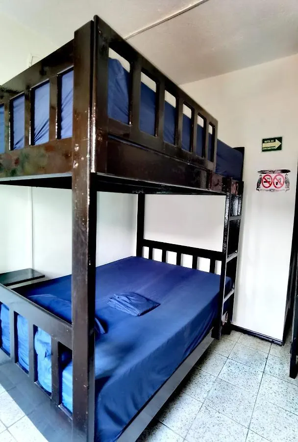 ** Guest house The Roof Backpackers Hotel Guadalajara Mexico