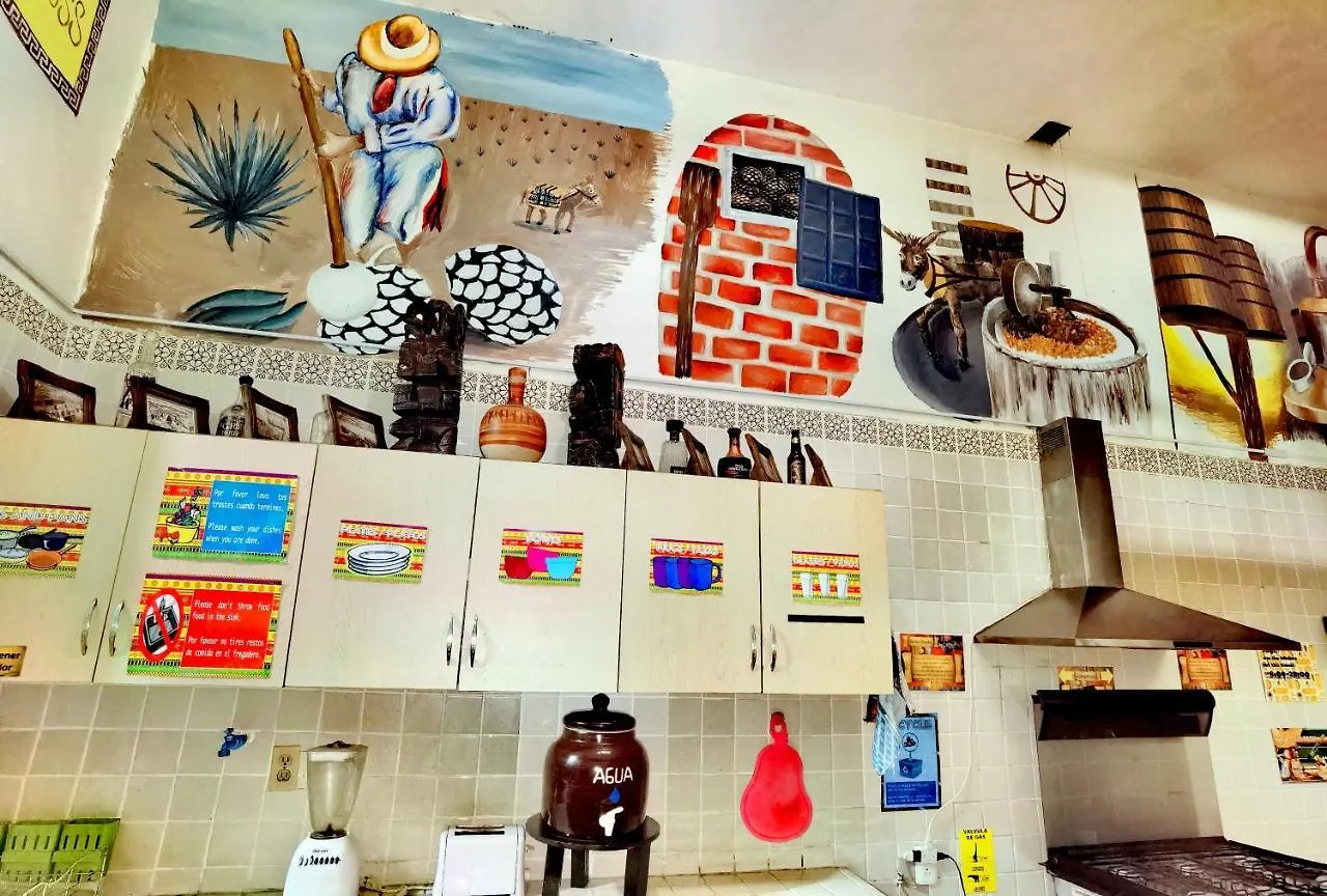 ** Guest house The Roof Backpackers Hotel Guadalajara Mexico