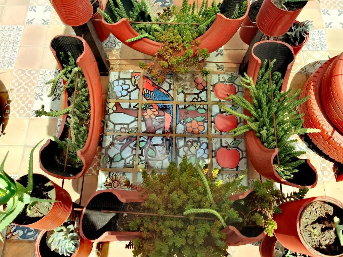 The Roof Backpackers Hotel Guadalajara