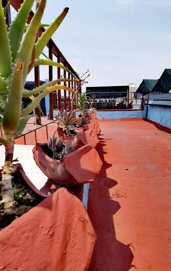 The Roof Backpackers Hotel Guadalajara 2*,  Mexico