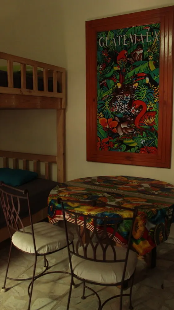 Guest house The Roof Backpackers Hotel Guadalajara