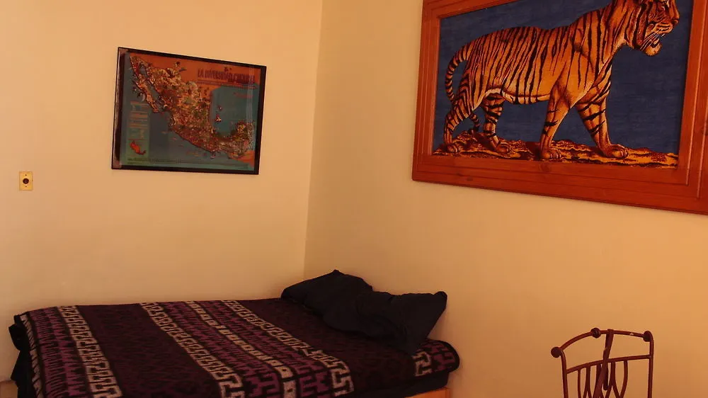 The Roof Backpackers Hotel Guadalajara Guest house